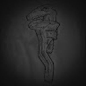 Meet your Posher, Bruce